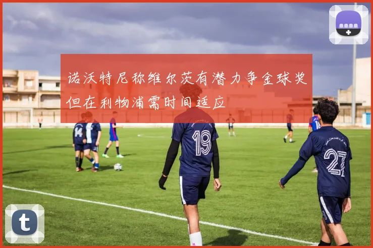 诺沃特尼称维尔茨有潜力争金球奖但在利物浦需时间适应