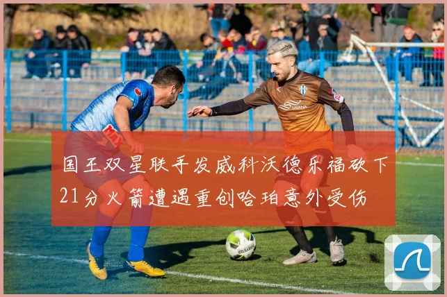 国王双星联手发威科沃德乐福砍下21分火箭遭遇重创哈珀意外受伤