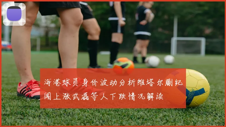 海港球员身价波动分析维塔尔蒯纪闻上涨武磊等人下跌情况解读