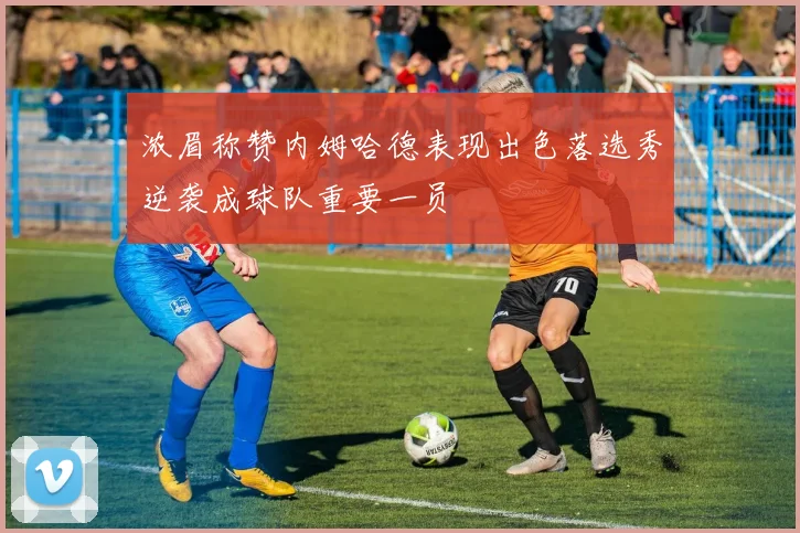 浓眉称赞内姆哈德表现出色落选秀逆袭成球队重要一员