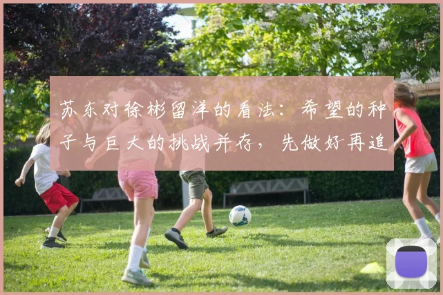 苏东对徐彬留洋的看法：希望的种子与巨大的挑战并存，先做好再追求完美